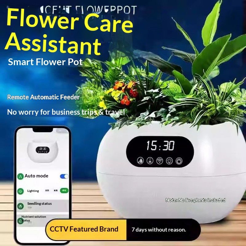 KI-Intelligenter Blumentopf Au – Electronic Gift Bewertung und Preis